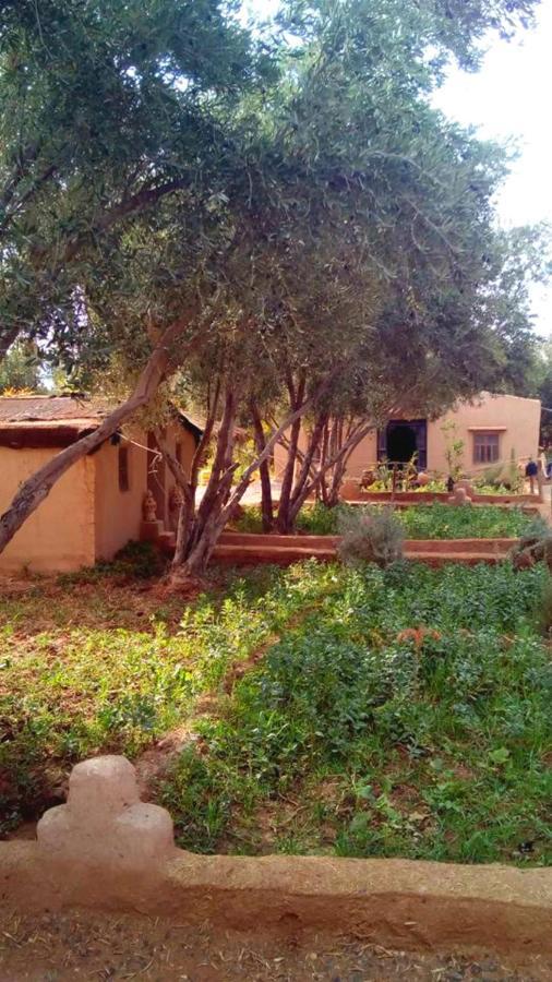 Отель Eco-Ferme Tamalait Скура Экстерьер фото